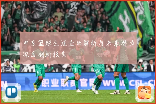申京篮球生涯全面解析与未来潜力深度剖析报告